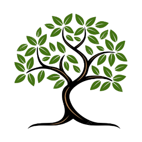 Under Armoures Store